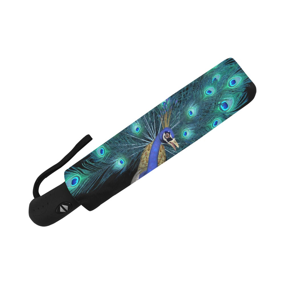 Peacock Anti-UV Auto-Foldable Umbrella - The Cool Collective AU