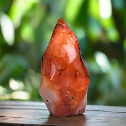 1 x Radiant Orca Red Carnelian Torch Crystal – Natural Flame Stone Gift - The Cool Collective AU