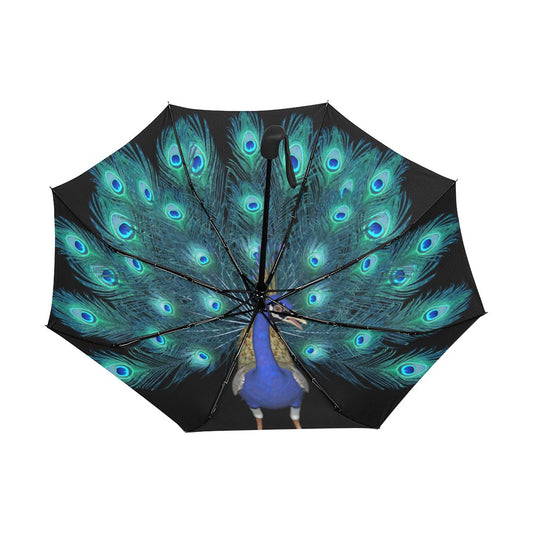 Peacock Anti-UV Auto-Foldable Umbrella - The Cool Collective AU